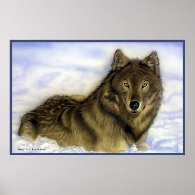 WInter Wolf Poster (Vorne)