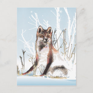 Winter Wolf Postkarte