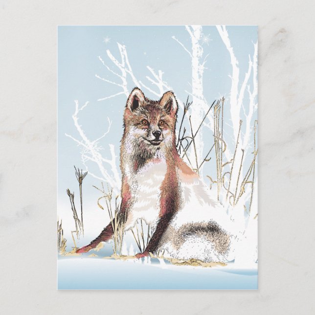 Winter Wolf Postkarte (Vorderseite)