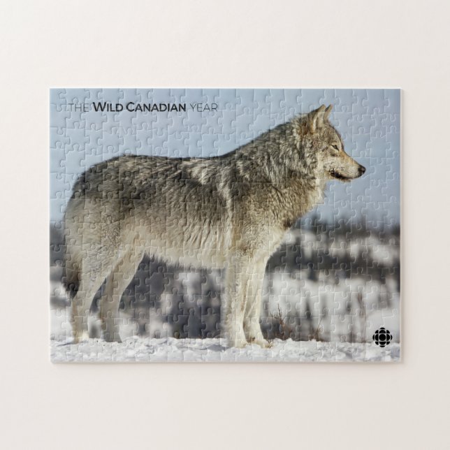 Winter - Wolf Puzzle (Horizontal)