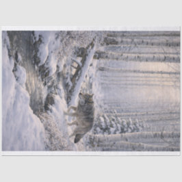 Winter Wolf Seidenpapier