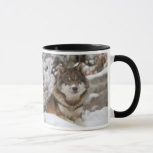 Winter Wolf Tasse