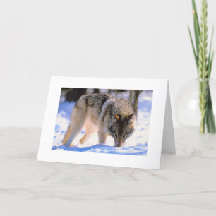 Winter Wolf Weihnachtsschneeurlaub Feiertagskarte