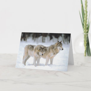 Winter Wolves Snow Xmas Holiday Christmas Blank Feiertagskarte