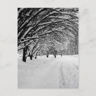 WINTER WONDER POSTKARTE