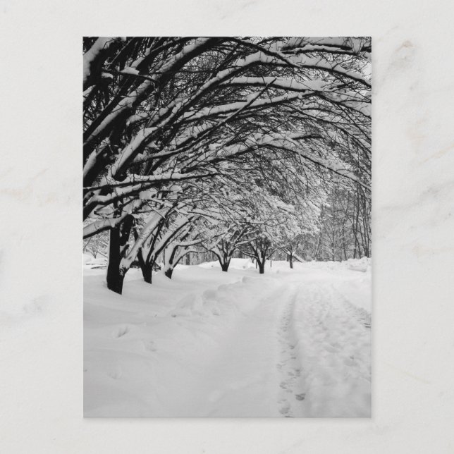WINTER WONDER POSTKARTE (Vorderseite)