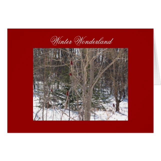 Winter Wonderland (Vorderseite (Horizontal))