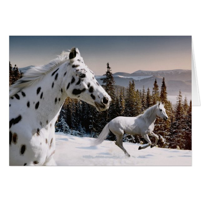 Winter Wonderland (Vorderseite (Horizontal))