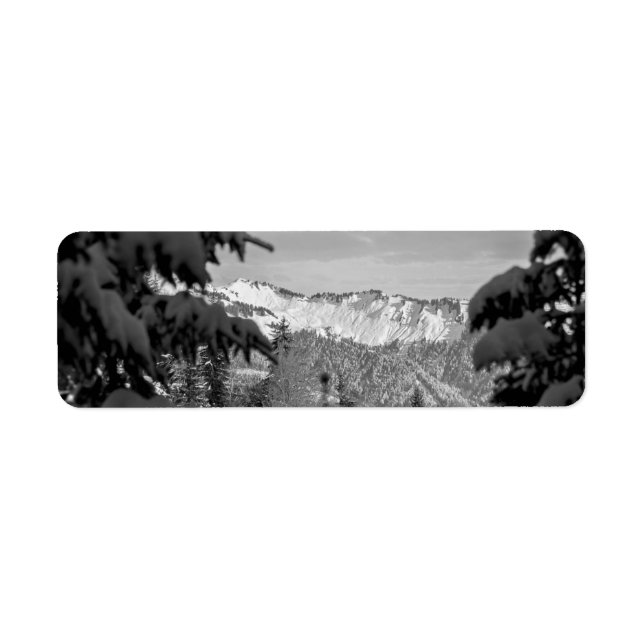 Winter Wonderland (Vorne)