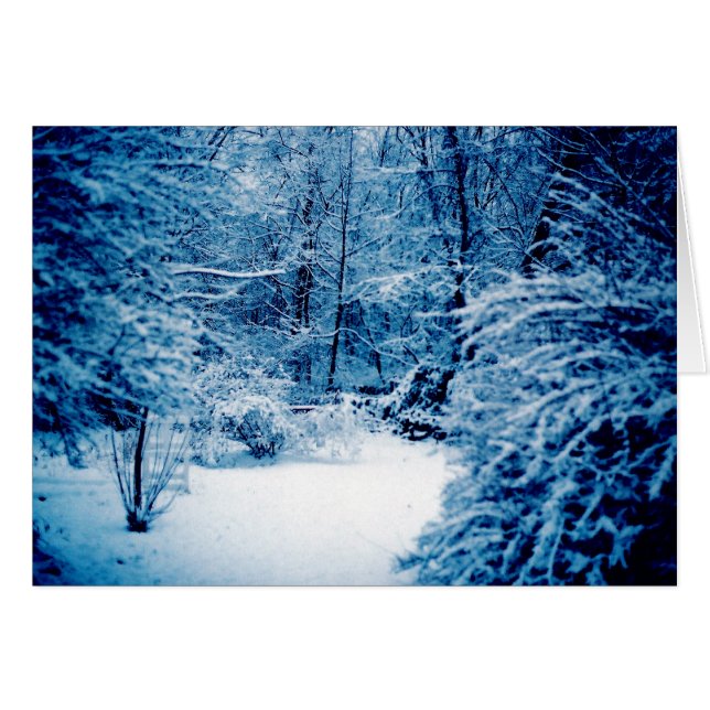 Winter Wonderland (Vorderseite (Horizontal))