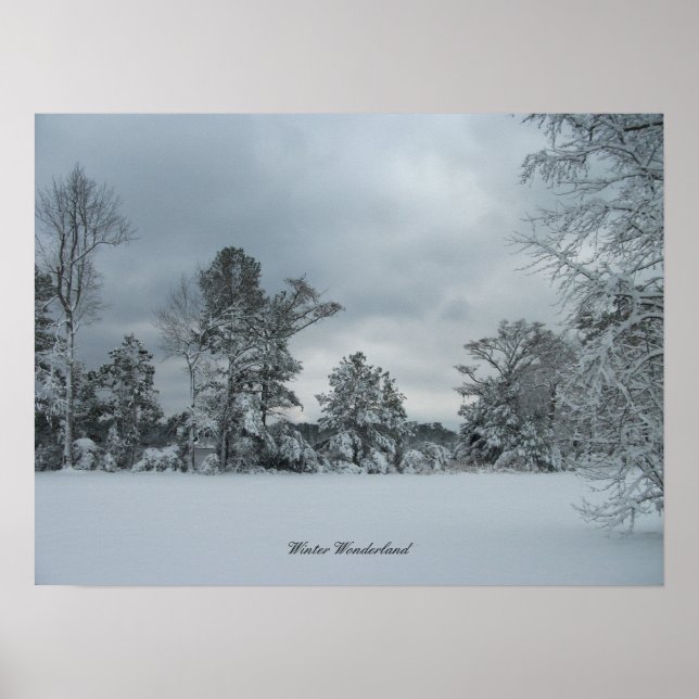 Winter Wonderland 1 Poster (Vorne)
