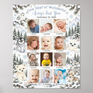 Winter Wonderland Arktische Tiere Erstes Jahr Foto Poster