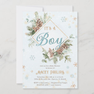Winter Wonderland Blau Baby Boy Shower Sprinkle In Einladung
