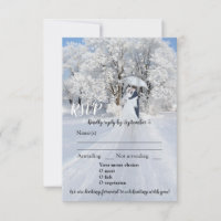 Winter Wonderland Dream Wedding RSVP Card