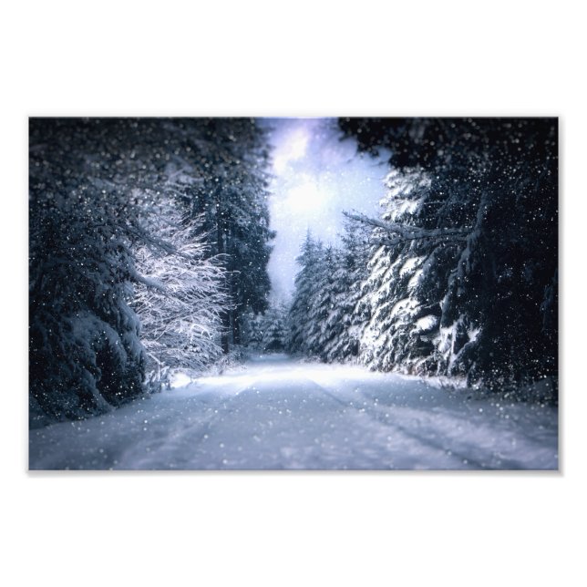 Winter Wonderland Forest Snowfall Fotodruck (Vorne)