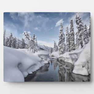 Winter Wonderland Fotoplatte