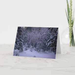Winter Wonderland Greetings Card Feiertagskarte