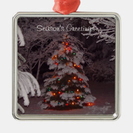 Winter Wonderland Holiday Tree Lights Silbernes Ornament
