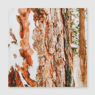 Winter Wonderland in Bend - Oregon Magnetkarte