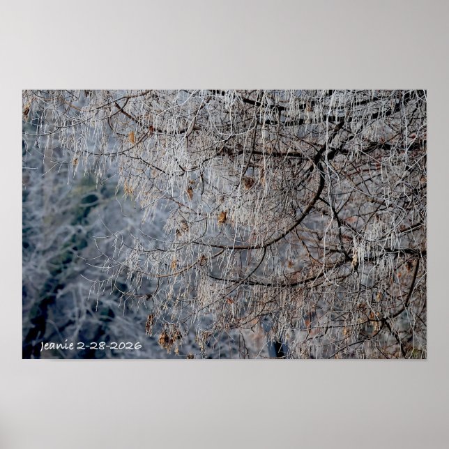 Winter wonderland poster (Vorne)