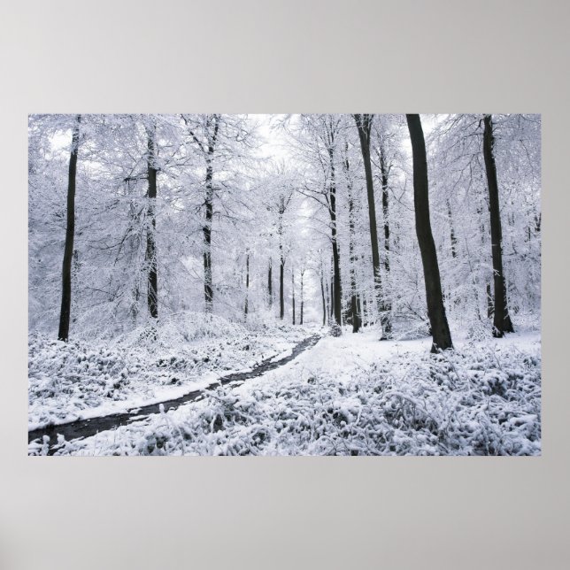 Winter Wonderland Poster (Vorne)