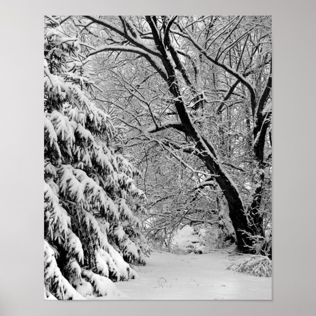 Winter Wonderland Poster (Vorne)