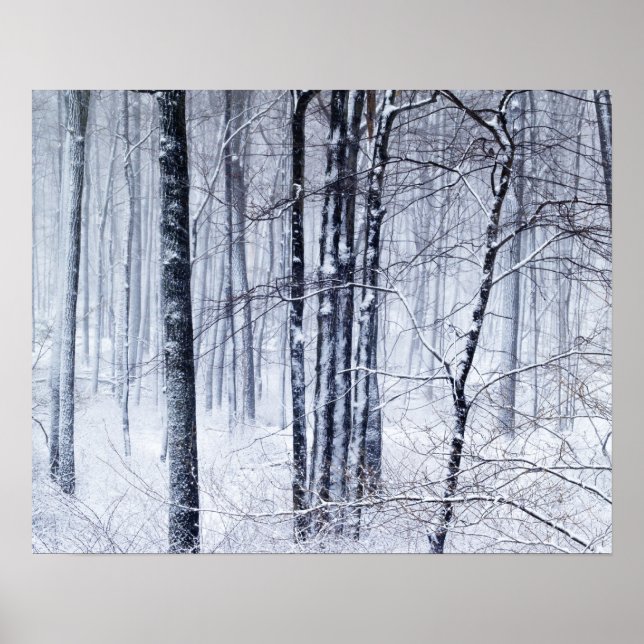 Winter Wonderland Poster (Vorne)