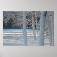 Winter Wonderland Poster