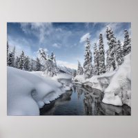 Winter Wonderland