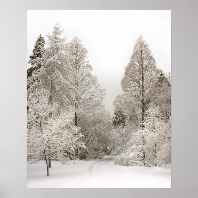 Winter Wonderland Poster Winter Vancouver Print (Vorne)