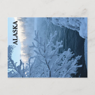 Winter Wonderland Postkarte