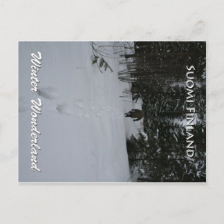 Winter Wonderland Postkarte