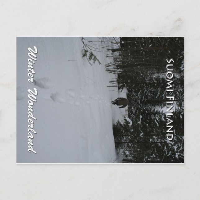 Winter Wonderland Postkarte (Vorderseite)