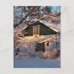 Winter Wonderland Postkarte