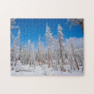 Winter Wonderland Puzzle