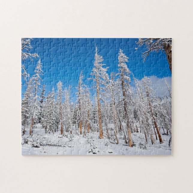 Winter Wonderland Puzzle (Horizontal)