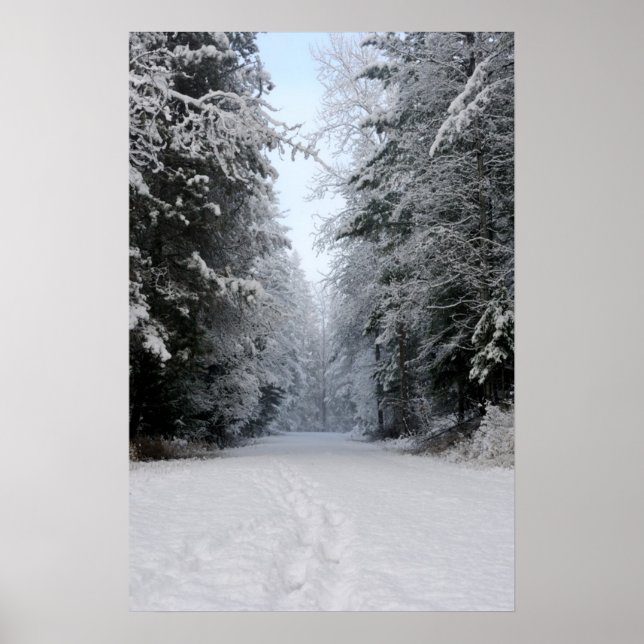 Winter Wonderland Road POSTER (Vorne)