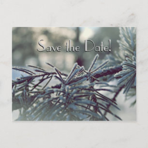 Winter Wonderland Save the Date Postkarte