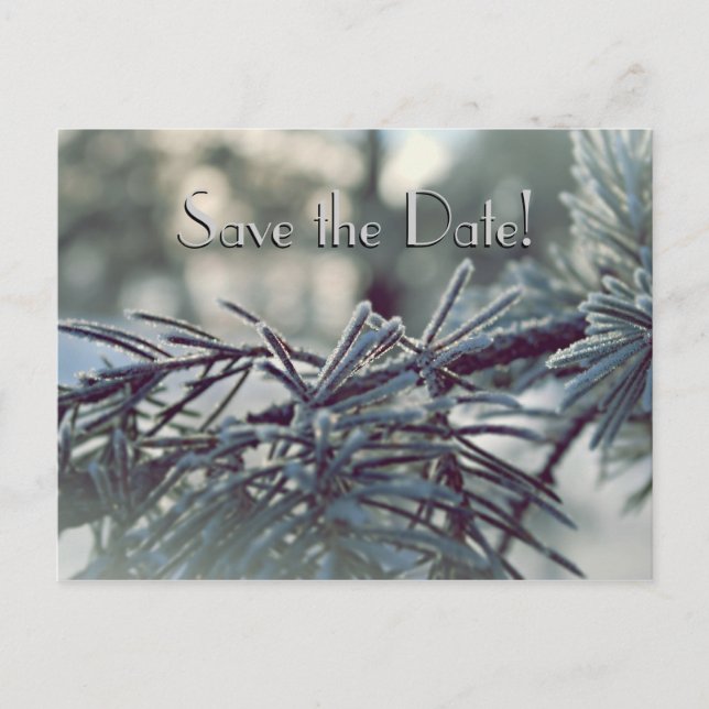 Winter Wonderland Save the Date Postkarte (Vorderseite)