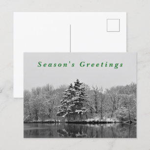 Winter Wonderland Schwarz-Weiß-Schnee-Fotografie Feiertagspostkarte