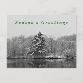 Winter Wonderland Schwarz-Weiß-Schnee-Fotografie Feiertagspostkarte