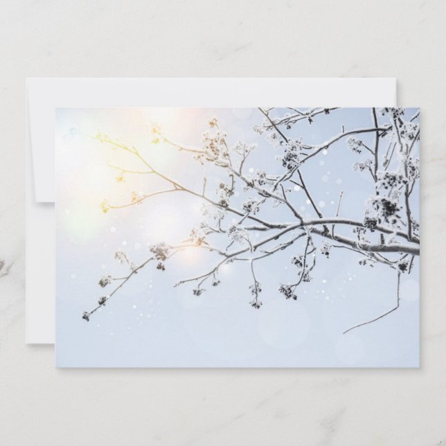 Winter Wonderland von Uname_ (Vorderseite)