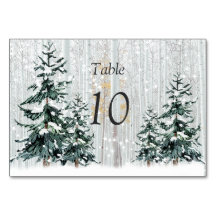 Winter Wonderland Wedding Stars Pine Tree Table