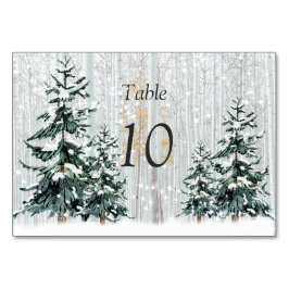 Winter Wonderland Wedding Stars Pine Tree Table Tischnummer