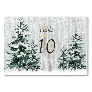 Winter Wonderland Wedding Stars Pine Tree Table Tischnummer