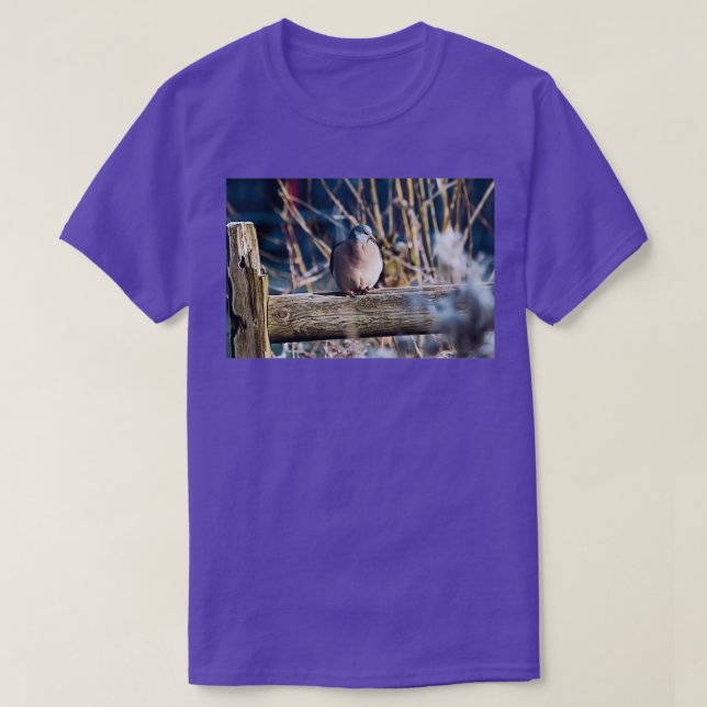 Winter Wood Pigeon T-Shirt (Design vorne)
