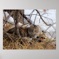 Winter Woodland Ferse Cat Print