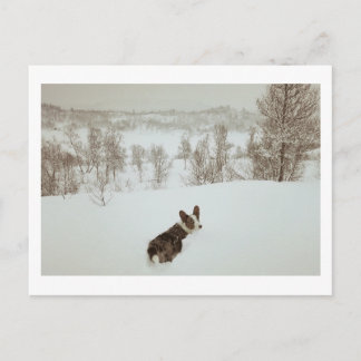 Winter-Wunderland-Feiertagspostkarte Feiertagspostkarte