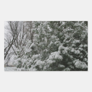 Winter Wunderland Pine Tree mit Schneefall Rechteckiger Aufkleber