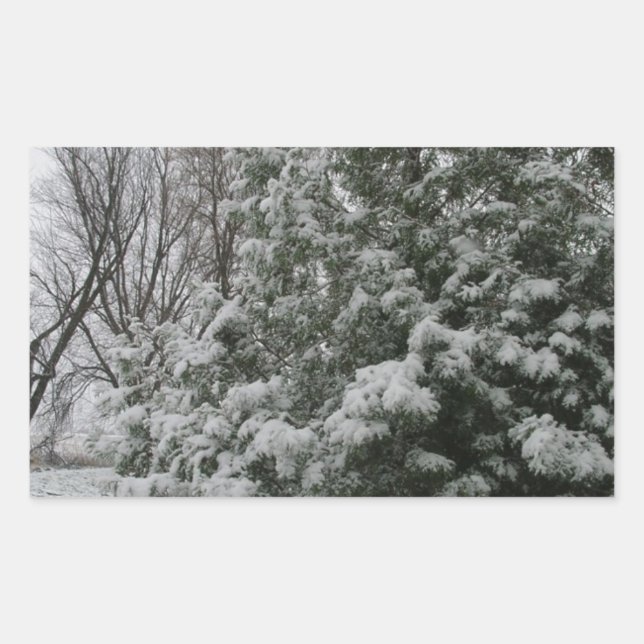 Winter Wunderland Pine Tree mit Schneefall Rechteckiger Aufkleber (Vorderseite)